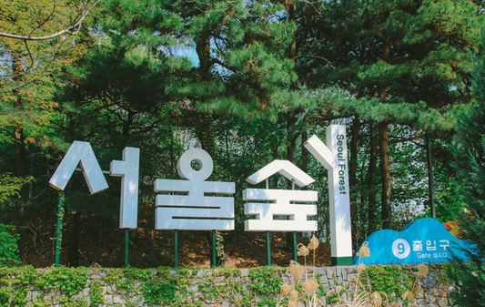Seoul Forest
