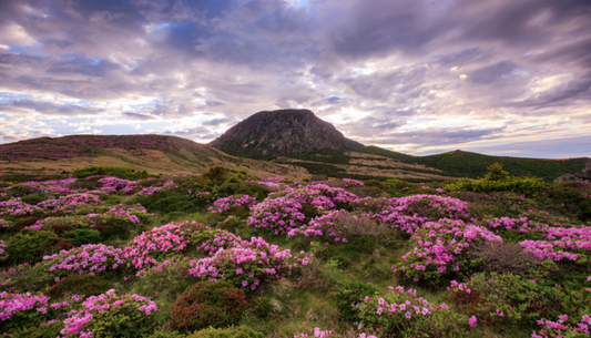 Hallasan Mountain