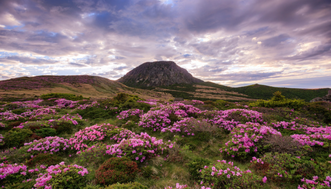Hallasan Mountain
